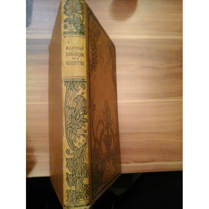 L'ORPHELINE DES FAUCHETTES  -  PAR MARGUERITE LEVRAY 